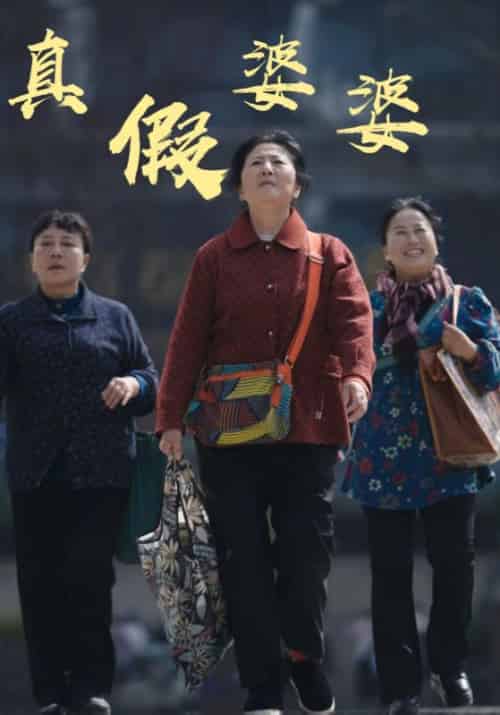 真假婆婆（61集全）陈大宝＆苏晴鱼-初遇资源网