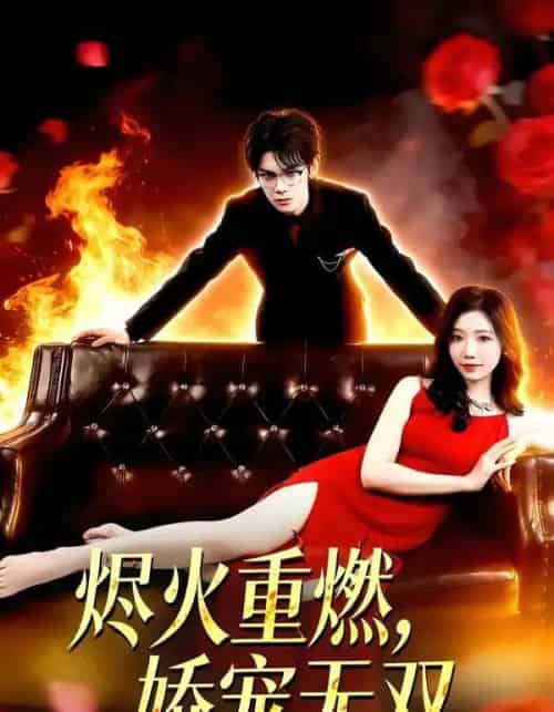 烬火重燃,娇宠无双(80集全)凌思羽&启航-初遇资源网