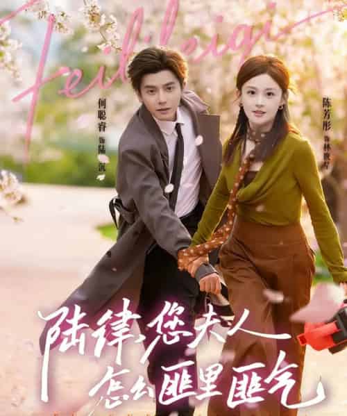 陆律，您夫人怎么匪里匪气（60集全）何聪容＆陈芳彤-初遇资源网