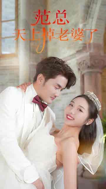 范总,天上掉老婆了(78集)-初遇资源网