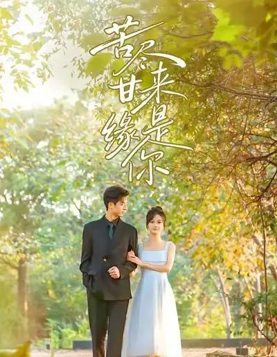 苦尽甘来缘是你（45集全）刘晓宇＆杜昱泽-初遇资源网