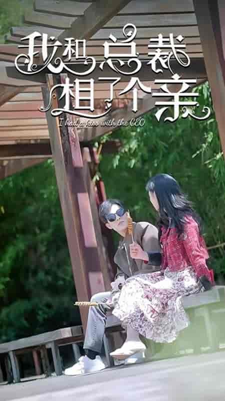 我和总裁相了个亲(90集)姚冠宇-初遇资源网