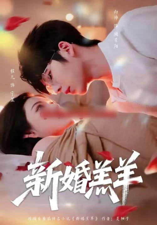 新婚羔羊 新婚羔羊