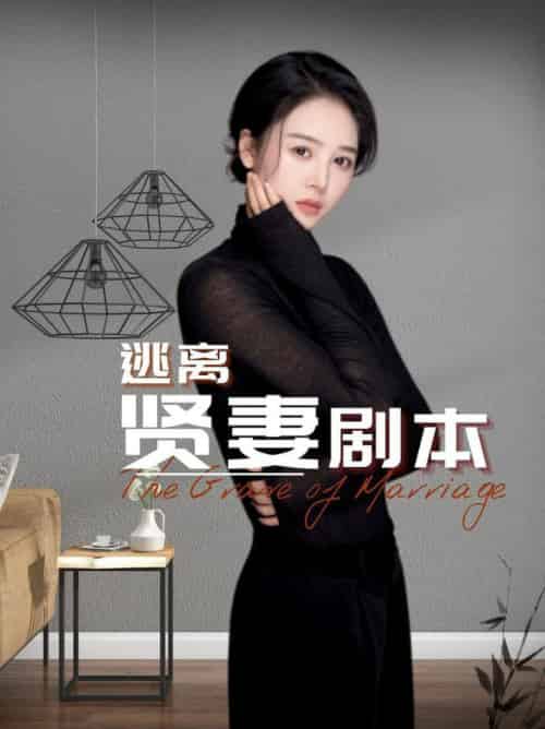 逃离贤妻剧本(33集全)顾佳慧-初遇资源网