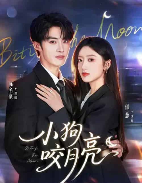 小狗咬月亮（66集全）陈名豪＆郁葱-初遇资源网