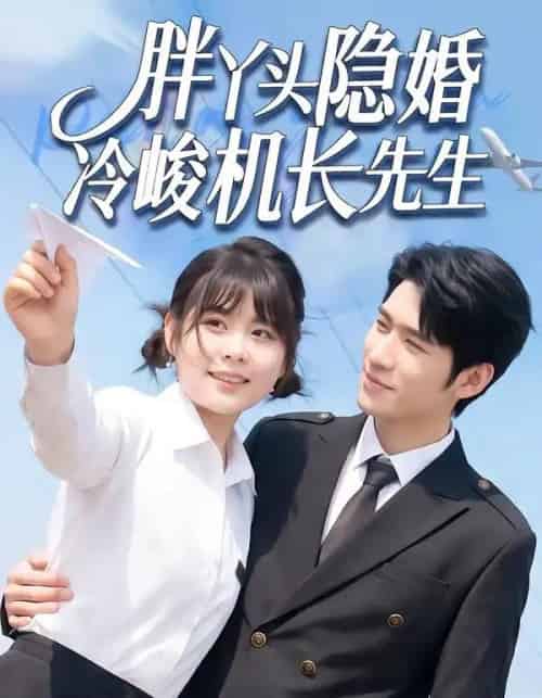 胖丫头隐婚冷峻机长先生 胖丫头隐婚冷峻机长先生