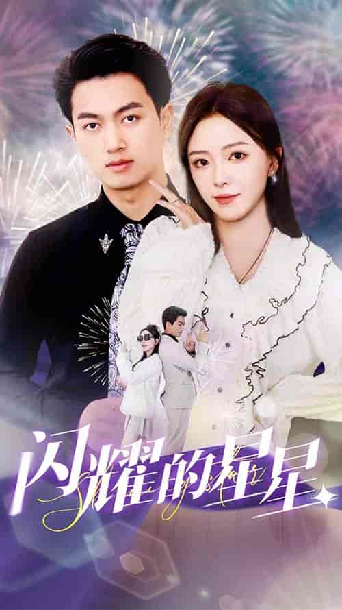 闪耀的星星&盛总你找错白月光了(89集)-初遇资源网