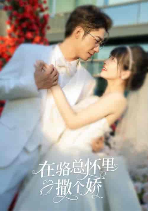 在骆总怀里撒个娇（87集）-初遇资源网
