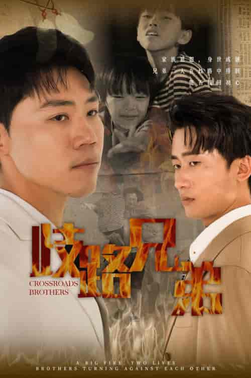 歧路兄弟（63集全）-初遇资源网