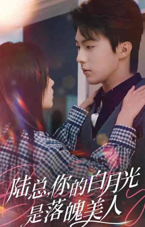 陆总你的白月光是落魄美人（39集全）刘兰博＆田苗苗-初遇资源网