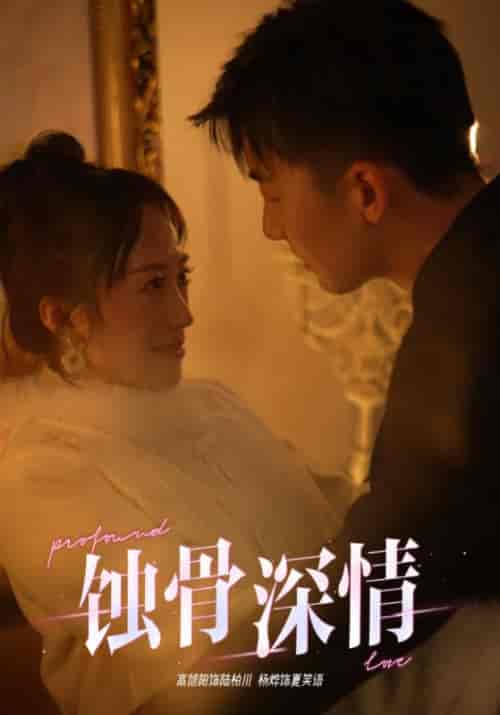 蚀骨深情（54集全）-初遇资源网
