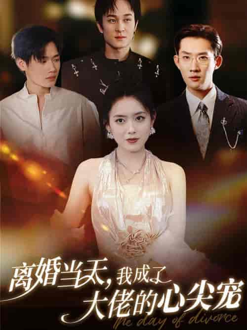 离婚当天我成了大佬的心尖宠(60集全)韩一思&彭娜莎-初遇资源网