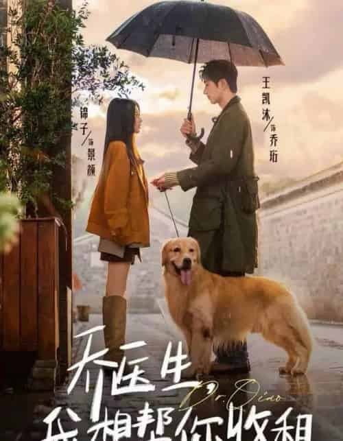 乔医生，我想帮你收租（81集全）王凯沐＆锦子-初遇资源网
