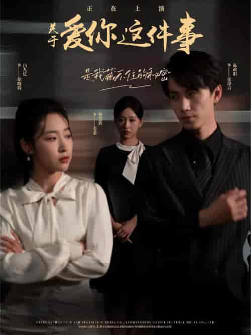 关于爱你这件事（83集）柴慧欣-初遇资源网