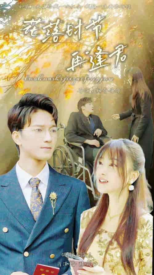 落花时节再逢君（82集）-初遇资源网