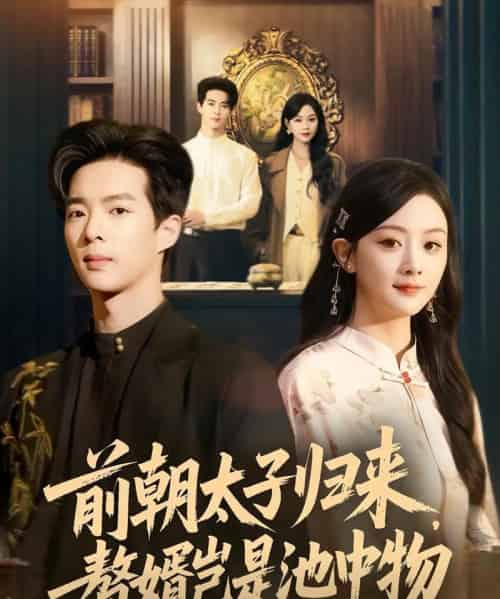 前朝太子归来，赘婿岂是池中物（80集全）员烽豪＆李秀-初遇资源网