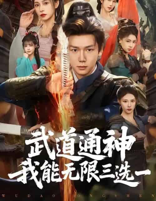 武道通神我能无限三选一(80集全)许少卿&李曾-初遇资源网