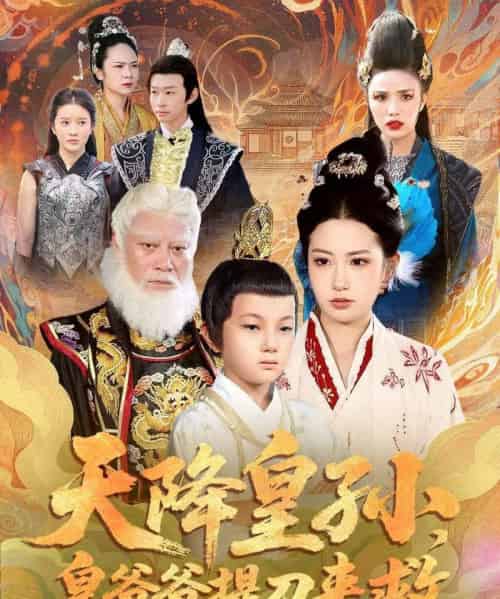 天降皇孙，皇爷爷提刀来救（90集全）梅瑞滢＆李仲桓-初遇资源网