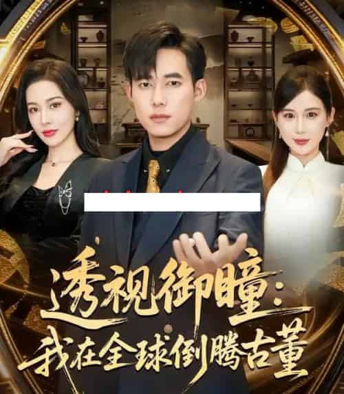 透视御瞳：我在全球倒腾古董（80集全）王大钱＆张子唯-初遇资源网