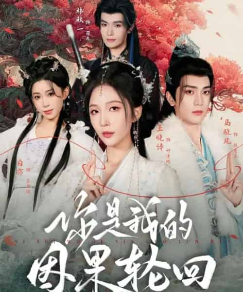 你是我的因果轮回（100集全）王晓诗＆马晓凡-初遇资源网