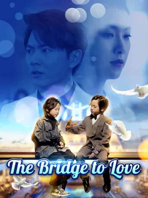 The Bridge to Love(80集全)Jay&Irwin&&Amber&Clark-初遇资源网