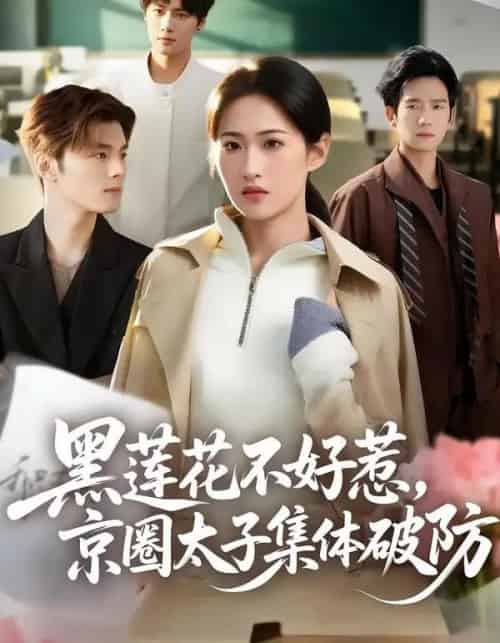 黑莲花不好惹，京圈太子集体破防（53集全）申晴＆彭瑞风-初遇资源网