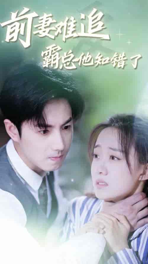 前妻难追，霸总他知错了（87集）侯呈月-初遇资源网