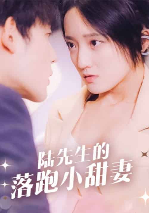 陆先生的落跑小甜妻（85集全）陆时晏＆苏心语-初遇资源网
