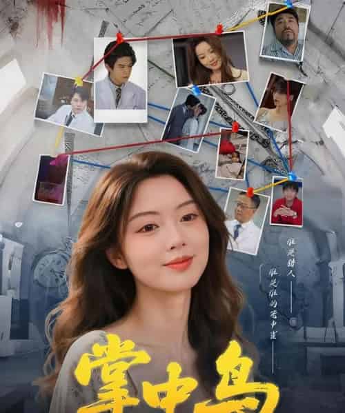 掌中鸟（42集）唐朵＆李衡伟-初遇资源网