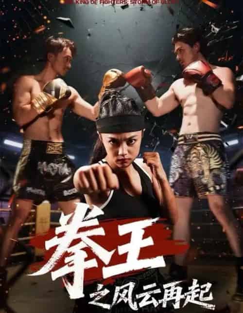 拳王之风云再起（50集全）夏巧戈＆王城-初遇资源网