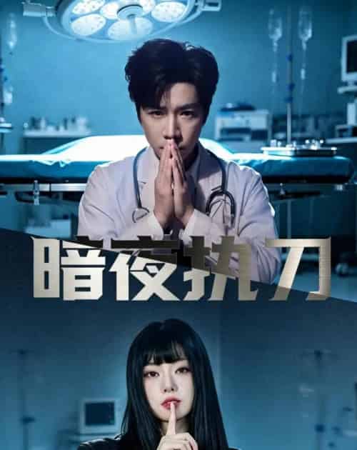 暗夜执刀（60集全）邓靖泓＆赵莎莎＆段钰-初遇资源网