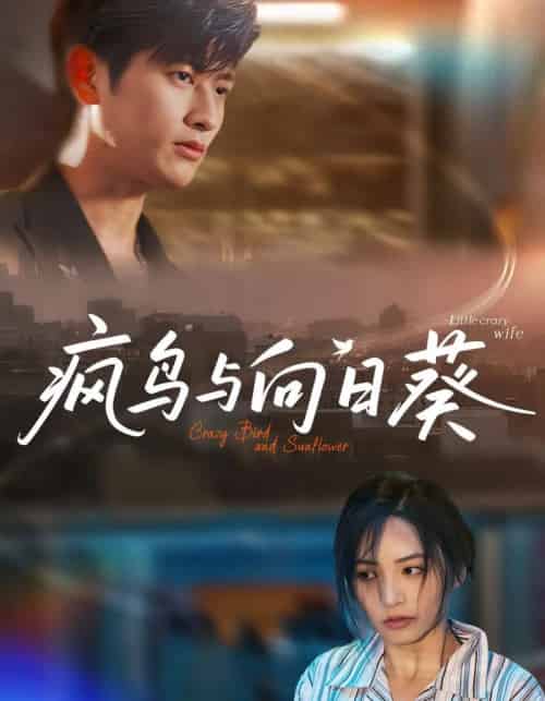 疯鸟与向日葵（40集）韩叙＆李虹艺-初遇资源网