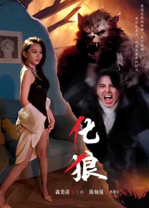 化狼（81集）孙佳-初遇资源网