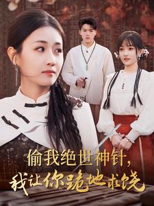 偷我绝世神针我让你跪地求饶（30集全）-初遇资源网