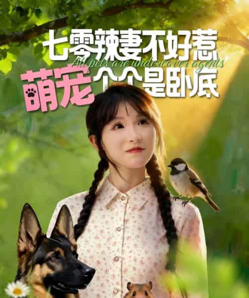 七零辣妻不好惹萌宠个个是卧底(96集全)王云菲&姜铭怀-初遇资源网