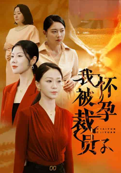 我怀孕被裁员了（49集全）谢恒＆温情-初遇资源网