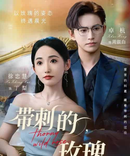带刺的玫瑰＆带刺的野玫瑰（56集）卓杭＆徐忠慧-初遇资源网