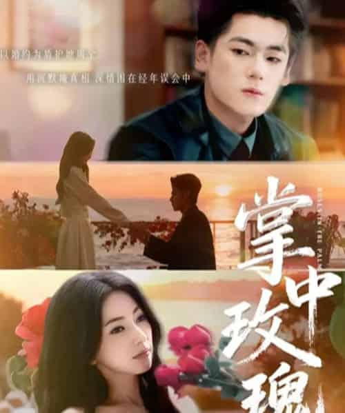 掌中玫瑰＆逃离你拥抱你（60集全）聂基坤＆冶梓-初遇资源网