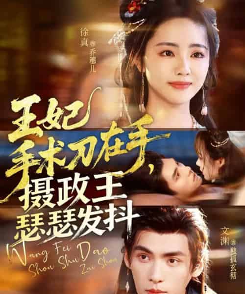 王妃手术刀在手摄政王瑟瑟发抖（73集全）徐真＆文渊-初遇资源网