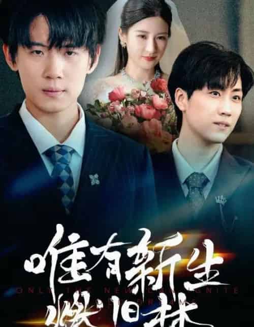 唯有新生燃旧梦(55集)-初遇资源网