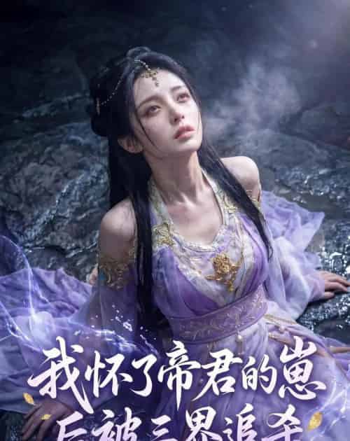 我怀了帝君的崽后被三界追杀(25集全)AI-初遇资源网