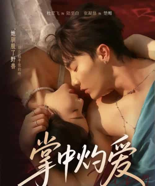 掌中灼爱(62集全)杜亚飞&张凝慈-初遇资源网