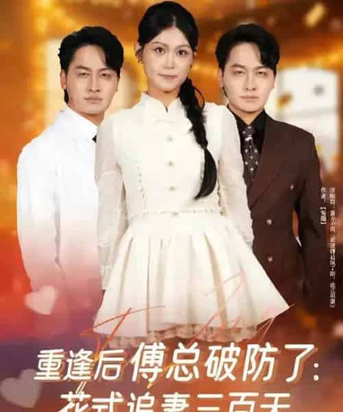 重逢后傅总破防了：花式追妻三百天（81集全）陈文川＆刘舸-初遇资源网