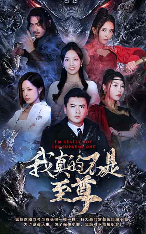 我真的不是至尊（96集）-初遇资源网