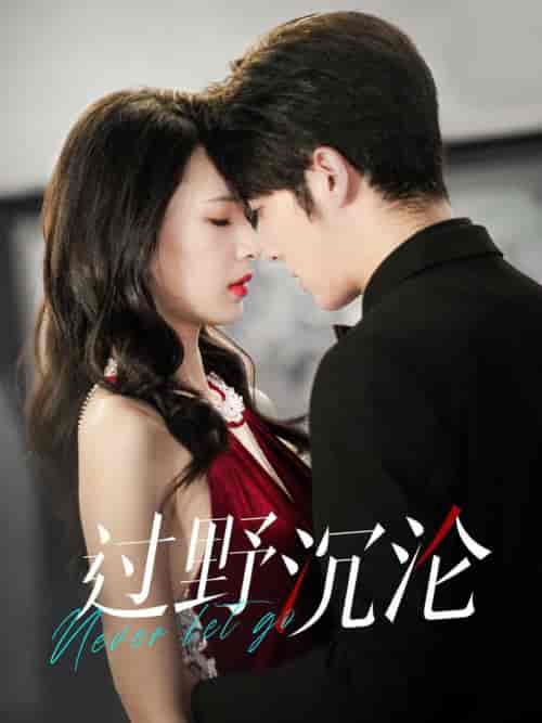 过野沉沦（100集全）王子林-初遇资源网