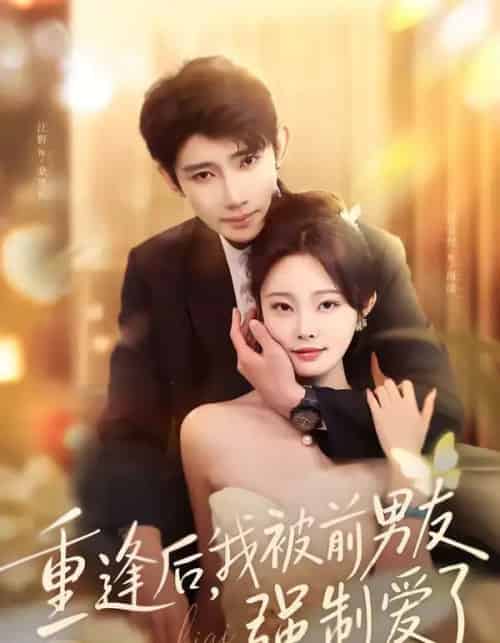 重逢后，我被前男友强制爱了（80集全）江野＆林非梵-初遇资源网