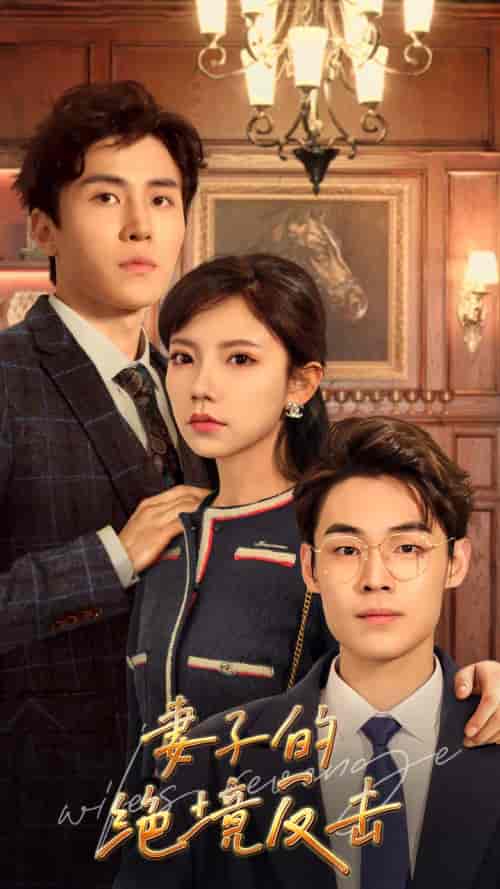 妻子的绝境反击(81集)-初遇资源网