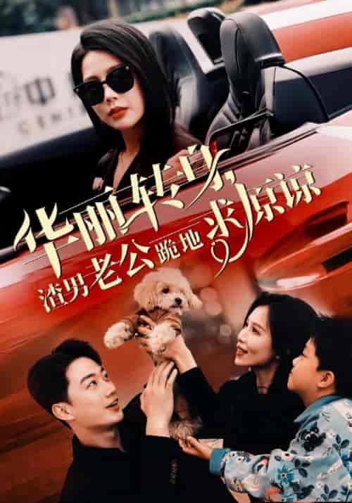 华丽转身，渣男老公跪地求原谅（30集全）郝建＆慕清雪-初遇资源网