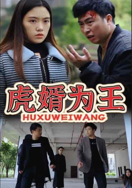 虎婿为王（90集全）杨云飞＆曾对对-初遇资源网