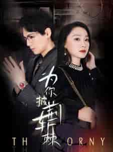 为你披荆斩棘（90集）-初遇资源网